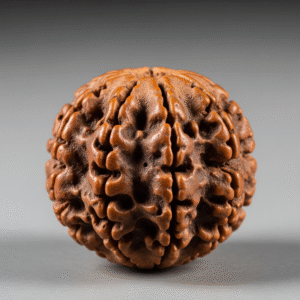 6 mukhi