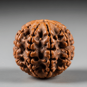 4 Mukhi