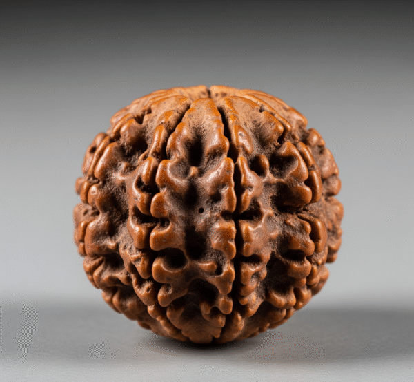 4 Mukhi