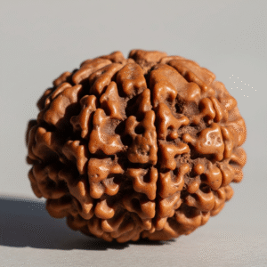 5 Mukhi
