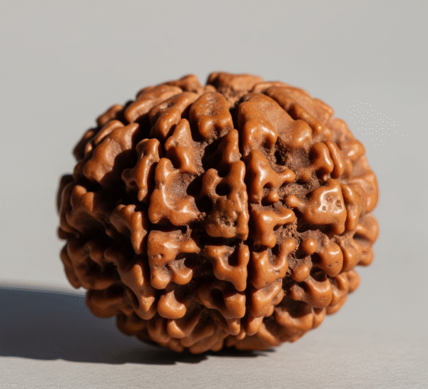 5 Mukhi