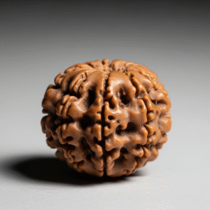 3 Mukhi Nepali Rudraksha