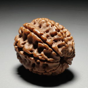 12 mukhi