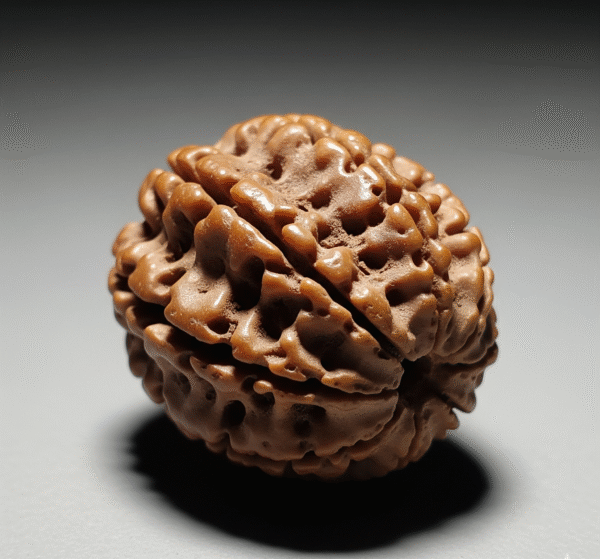 12 mukhi