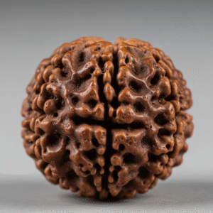 2 Mukhi