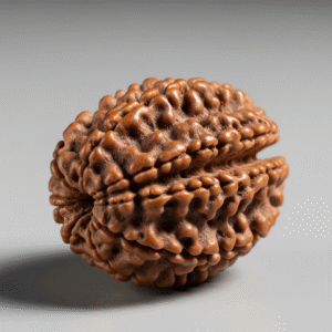 1 Mukhi