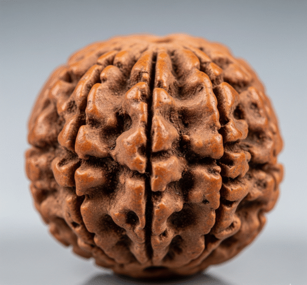 10 mukhi
