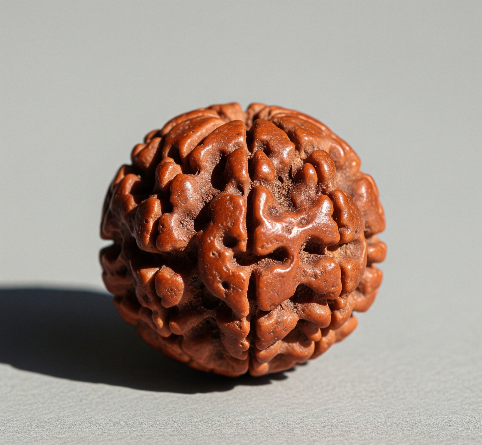 11 mukhi