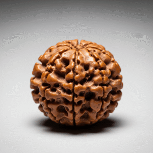 13 mukhi