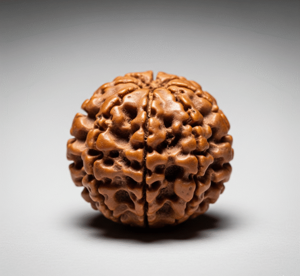 13 mukhi