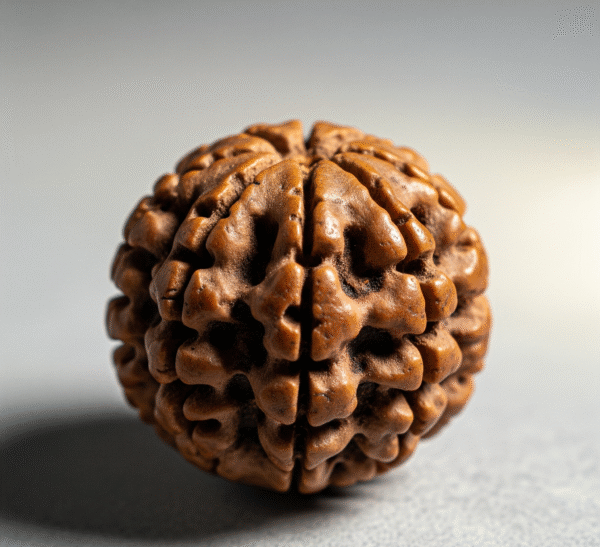 9 mukhi