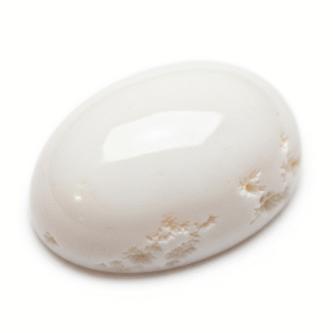 WHITE CORAL