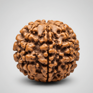 7 mukhi