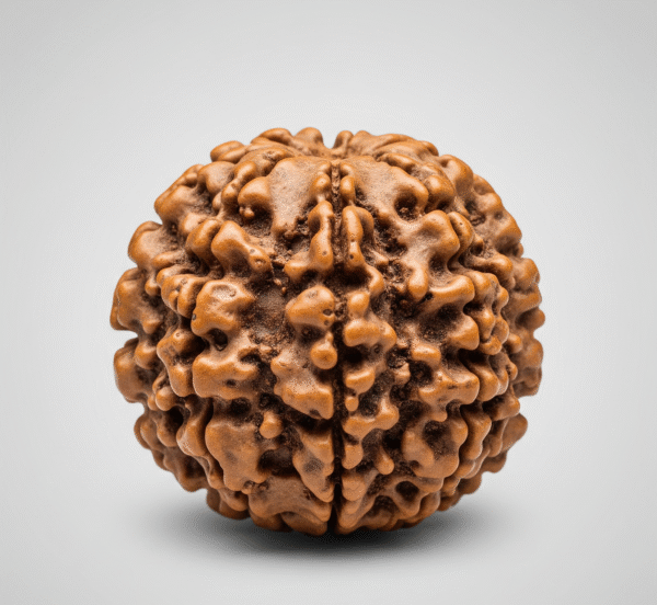 7 mukhi
